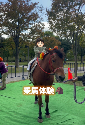 乗馬体験🐴