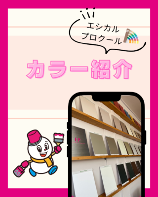 みなとペイント🌈オススメ❗エシカルプロクール