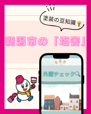 海沿いの方は必見!新潟の「塩害」から家を守る高耐久塗料の選び方