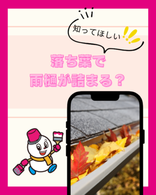落ち葉で雨樋が詰まる?