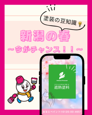 花粉や黄砂が落ち着いた今がチャンス!新潟の外壁塗装ベストタイミング